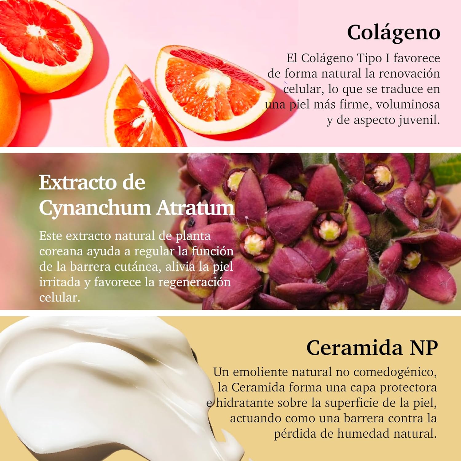 Collagen Serum – Anti-Aging with Cynanchum Atratum Extract & Ceramide NP (30ml)